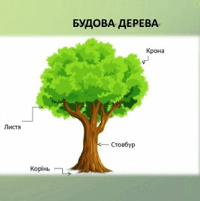 06019ab5-5798-289x291.png