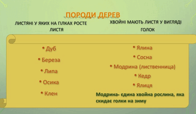 06019abo-7af2-643x373.png