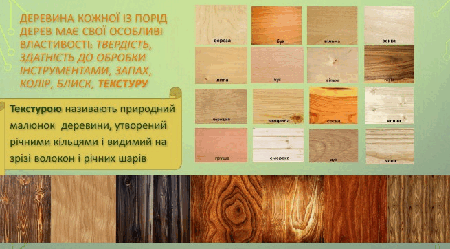06019aci-fc88-655x362.png