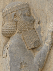 06019aqy-6632-185x247.png