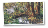 06019bkr-c03d-166x97.png