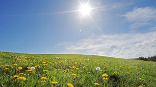 Das Wetter 7 klasse