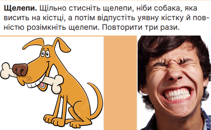 06019daz-1345-856x527.png