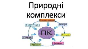 Презентація з географії для 6 класу НУШ на тему "Природні комплекси" за програмою Коберника С.