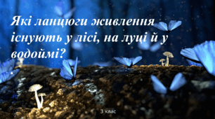 Презентація "Які ланцюги живлення існують у лісі, на луці й у водоймі?"