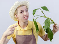 06019dsd-aaee-196x147.jpg