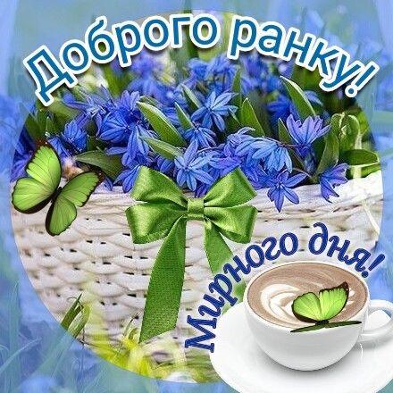 06019dyn-278b-440x440.jpg