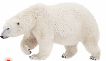 06019gw7-4cf7-366x211.png