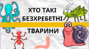 Хто такі безхребетні тварини
