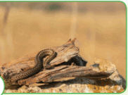 06019ity-5878-265x197.png