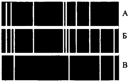 06019iy0-df33-419x265.png