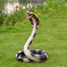 Vinbcorw Schlange Kobra Cobra Statue Skulptur,Gartendeko Schlange Figuren,Realistische Schlange aus Harz Ornament, Wetterfest Kreativ deko für Draußen Garten Balkon Veranda Wohnzimmer,Braun : Amazon.de: Garten