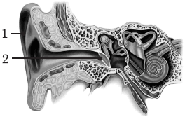 06019nd3-320b-264x167.png