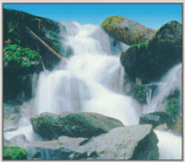 06019ssg-fdd5-265x231.png