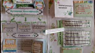 Інтерактивна папка лепбук "Глюкоза"