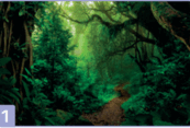 06019u4y-e6d7-173x117.png