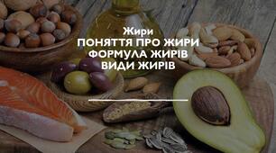Презентація на тему: "Жири"