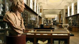 Презентація: " Museums in London "