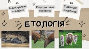 Ілюстрація на тему: "Форми вродженої поведінки тварин" для учнів 7 класу