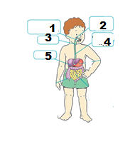 06019ypo-492f-259x304.png