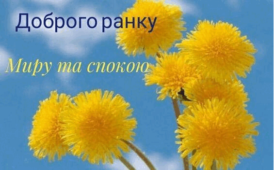 06019z8e-8b0b-565x352.png