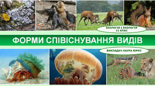 Форми співіснування організмів