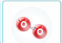 0601a1xy-9fa2-245x171.png