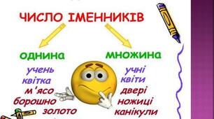 Число та рід іменників