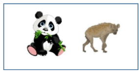 0601a48m-301f-286x150.png