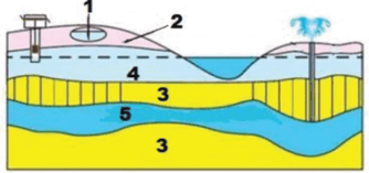 0601a6rx-dfd4-334x157.png