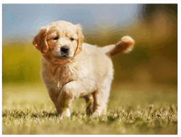 0601a7tm-15a9-265x200.png