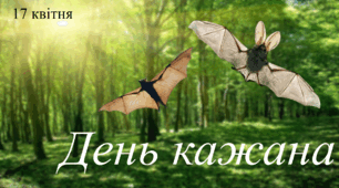 Презентація на тему: "17 квітня - День кажана"