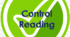 Control Reading 6 Form II semester (NUS)