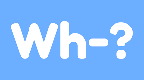 Урок. Презентація. Wh- questions in the present  and past