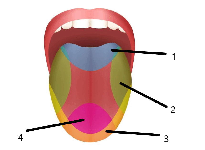 0601aejc-dce3-860x629.png