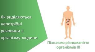 Презентація з уроку Пізнаємо природу для 5 класу на тему «Як виділяються непотрібні речовини з організму людини»