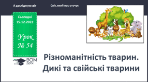Свійські тварини. Які бувають тварини?