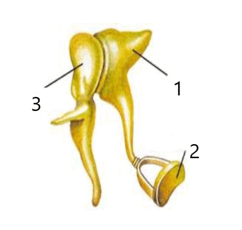 0601aewa-6c82-541x513.png