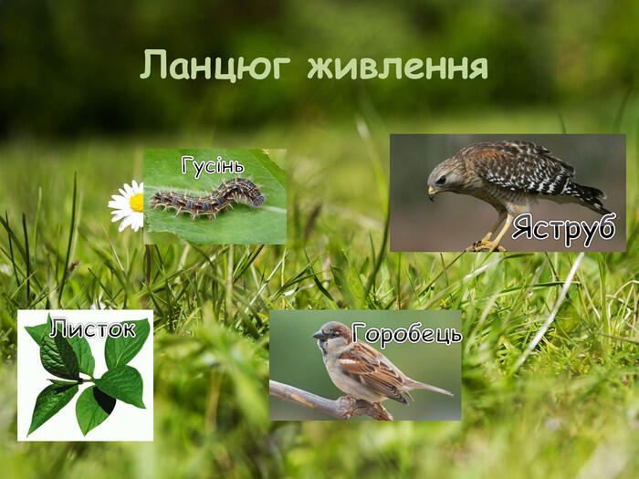 0601aeya-3735-700x525.jpg
