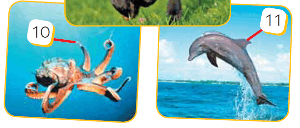 0601afdf-61c0-611x261.png