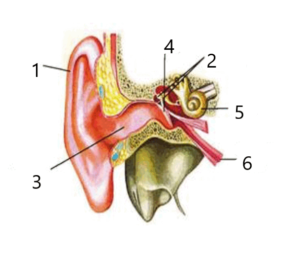 0601ag44-7925-621x513.png