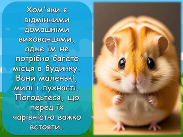 0601agdf-98fe-367x275.jpg