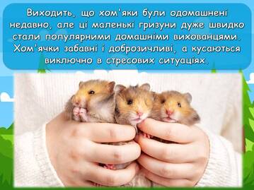 0601agdh-b6d3-359x269.jpg