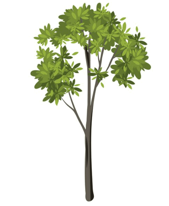 0601ahzx-a90c-573x697.png