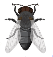 0601ai0k-a843-186x199.png
