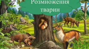 Розмноження тварин