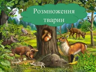 0601akd2-c9d7-320x240.webp