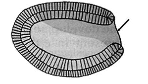 0601alwj-97c3-299x169.png