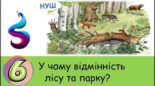 Взаємозв'язки в лісі й парку