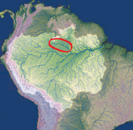 0601ar67-dd88-265x259.png